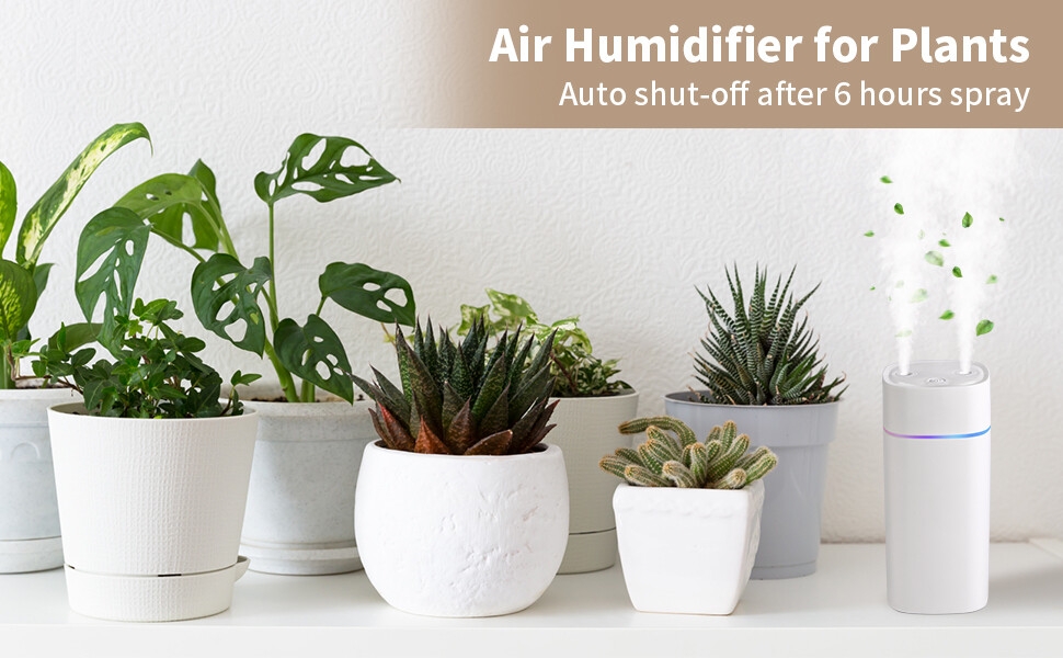 humidifiers for plant