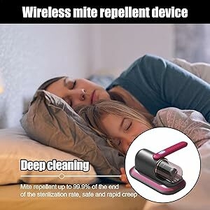 Professional Cleaning