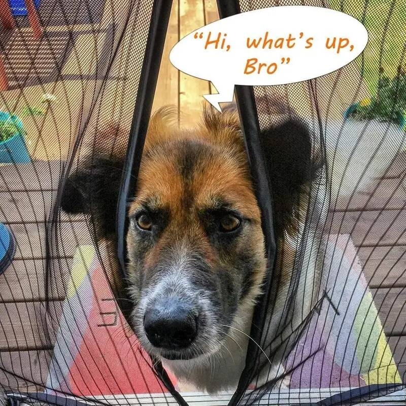 1pc magnetic fly screen door heavy duty bug mesh curtain with powerful magnets and full frame magic tape insect protection door no gap keep bugs details 5