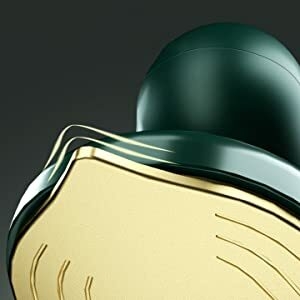 portable steam iron for clothes