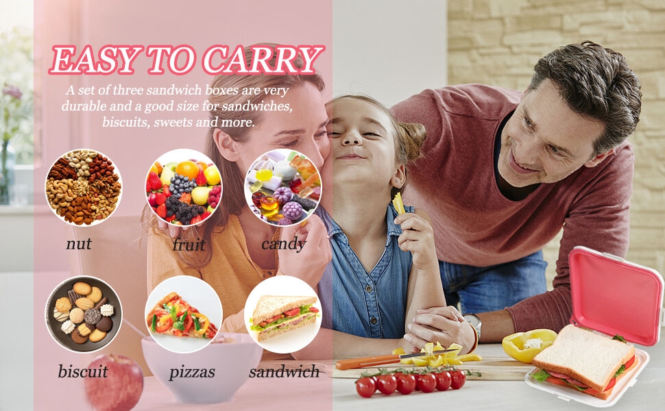 Reusable Plastic Sandwich Holder