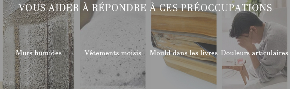 Feuchtigkeitsabsorber Schrank