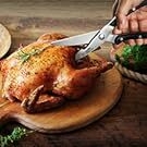 POULTRY SCISSORS