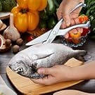 scissors cut fish