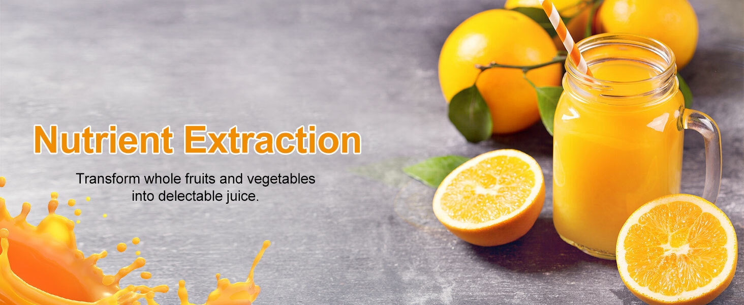 Portable juicer