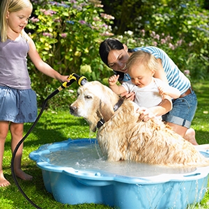 Pets washing