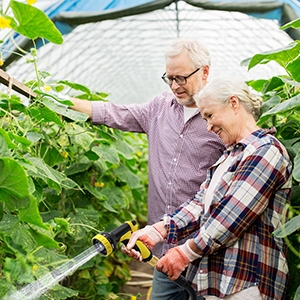 Watering Flowers/Vegetables