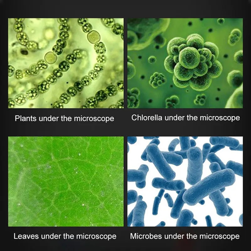 kids microscope kit science lab led 100 1200x biological microscope home school educational toys children optical instruments halloween christmas and thanksgiving day gift details 3