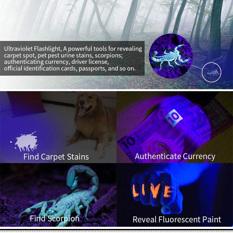 Aluminum Alloy 21 LED  Blacklight UV Torch