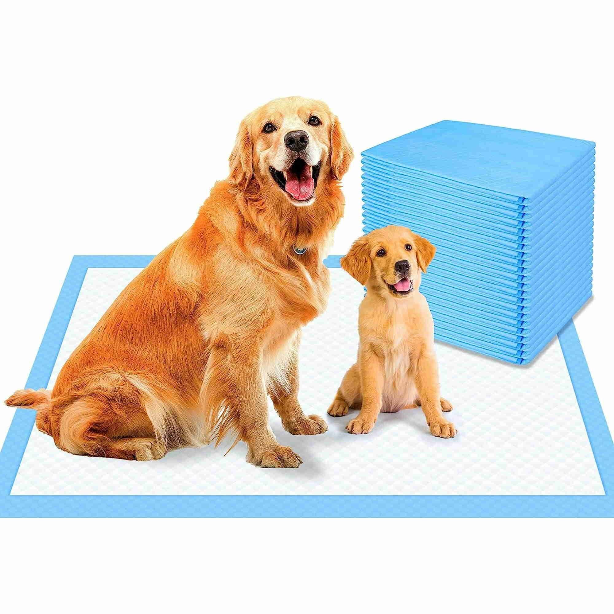 BEYCED Dog Pee Pads Extra Large 23.5