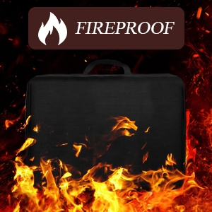 fireproof document bag