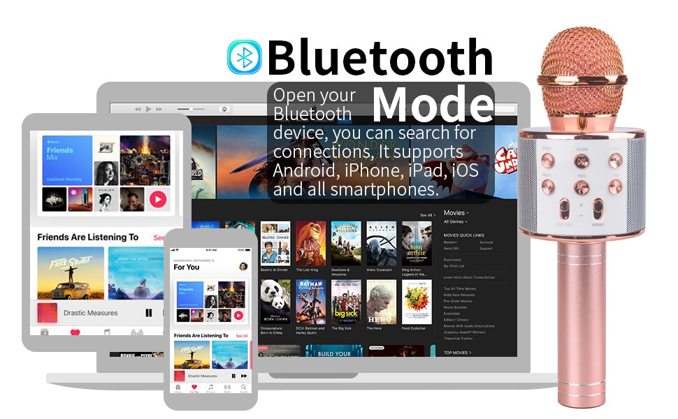 Wireless Bluetooth Karaoke Microphone