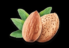 Almond