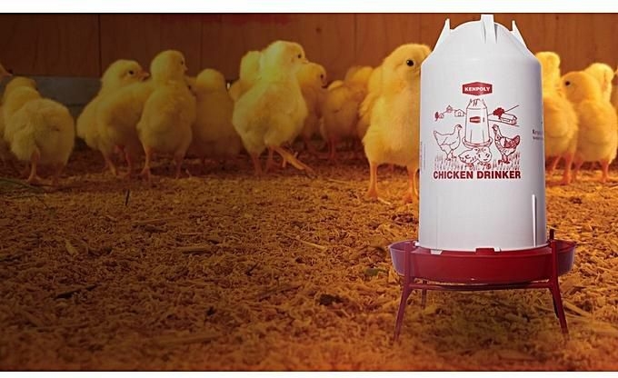 Kenpoly Durable Chicken Drinkers 10 liters with stand price from jumia in  Kenya - Yaoota!
