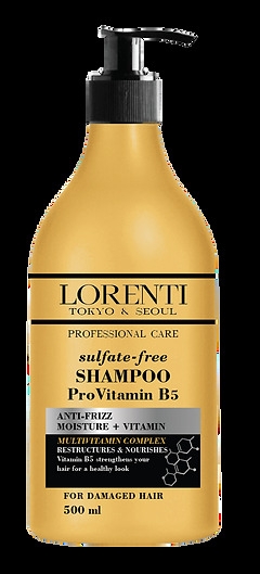 Lorenti Sulfate Free Shampoo Pro-Vitamin B5.png