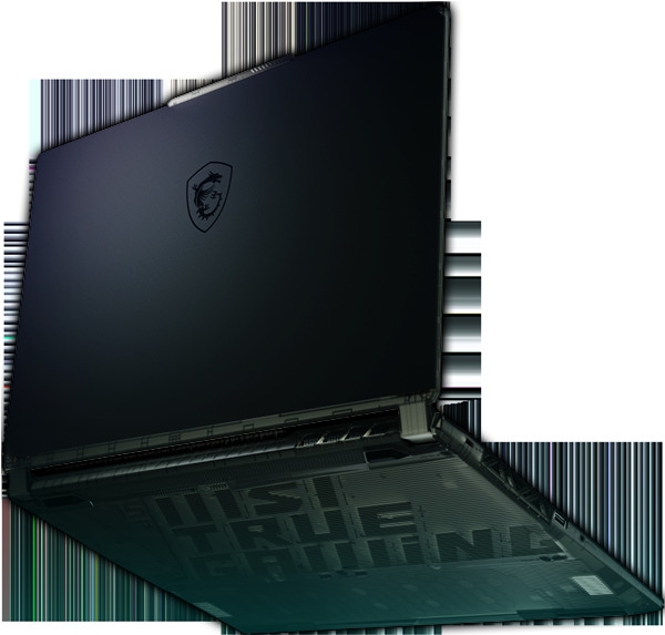 Cyborg 15 A13V