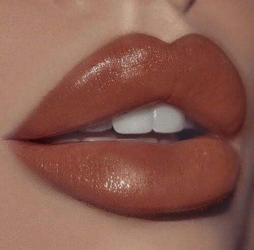 Perfect Nude Lip Kit - Nude Liquid Lipstick - Gloss, Lip Liner - Blur India