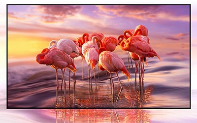 Picture perfect down to the last detail with Quantum HDR 24x