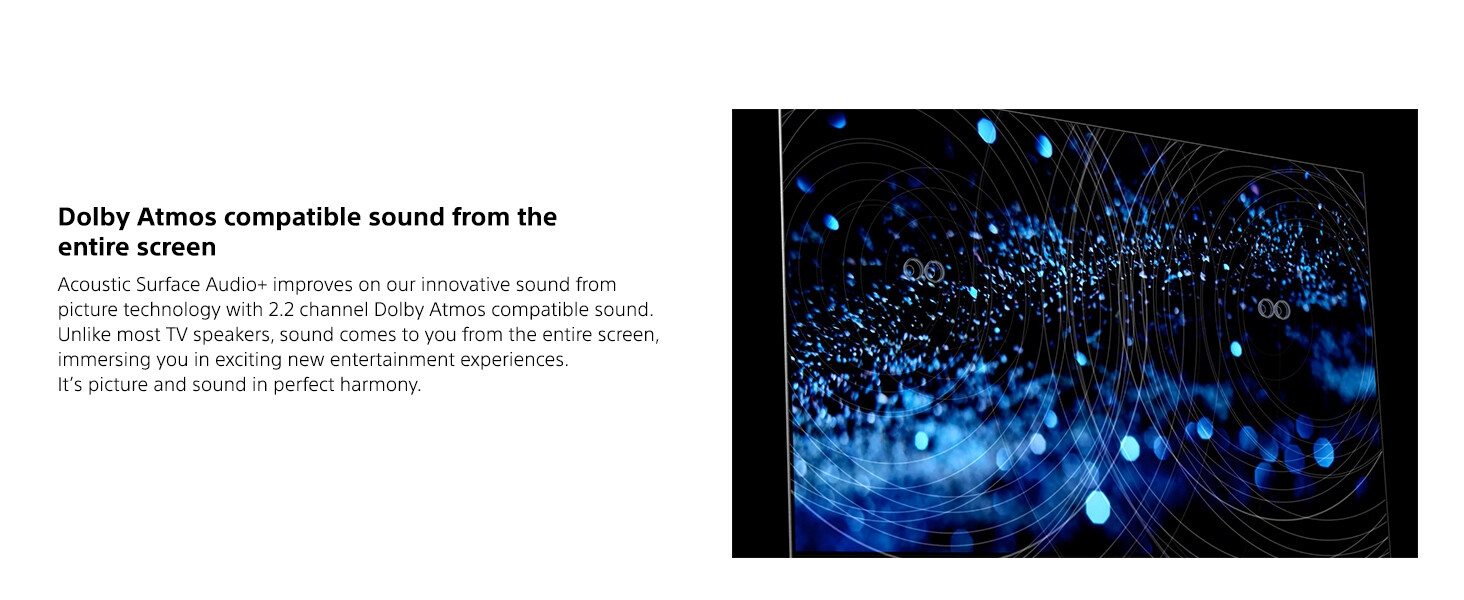 Acoustic Surface Audio+