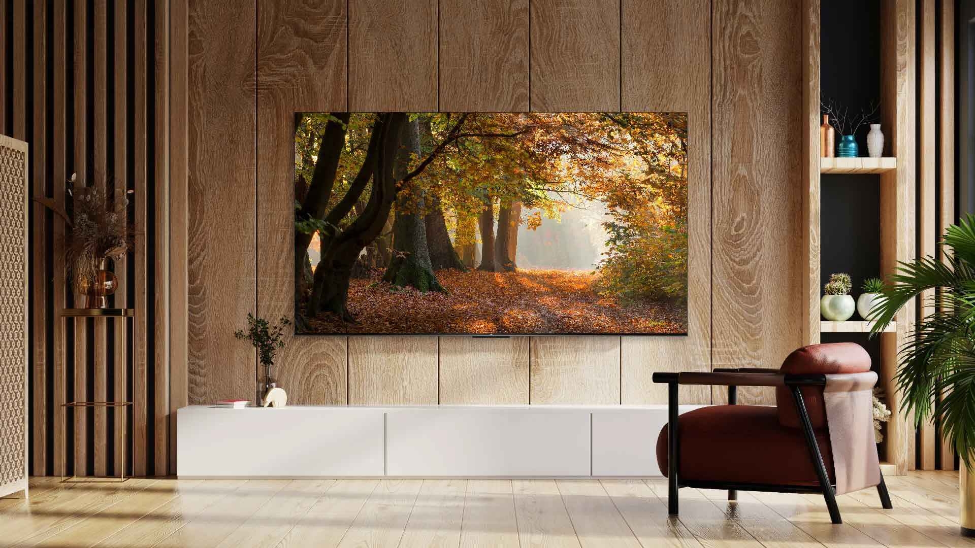 TCL V6B 4k tv lifestyle