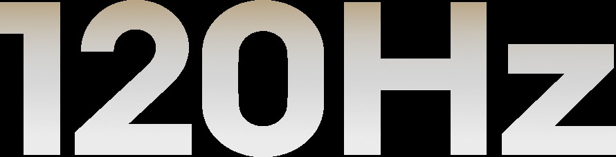 样张
