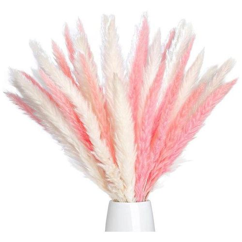 40 Pcs 17inch Natural WhitePink Dried Pampas Grass Dried Fl