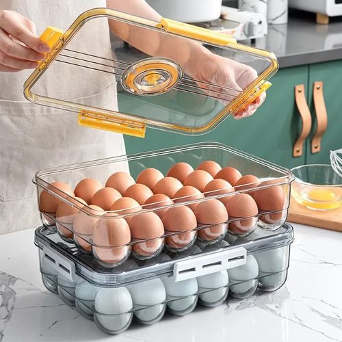24-Grid Plastic Egg Storage Tray With Lid