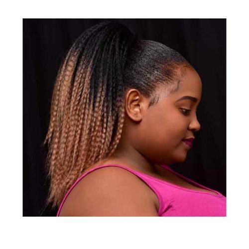 Ombre Short Twisted Braids Hair Wig