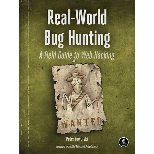 Real World Bug Hunting