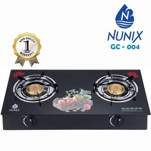 2 burner glass top cooker auto-ignation