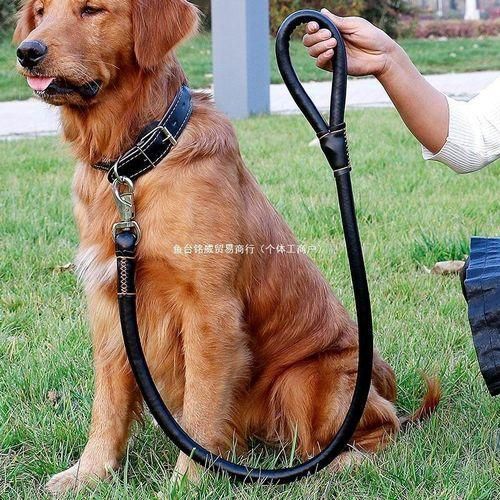 Hot sale Dog leash and collar. Complete set Easy grip rolled up leather dog collar and leash