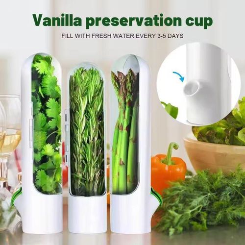 Herb Preserver Container