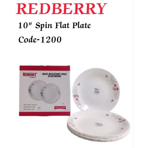 6 PCS Beautiful 10 Dinner Plate