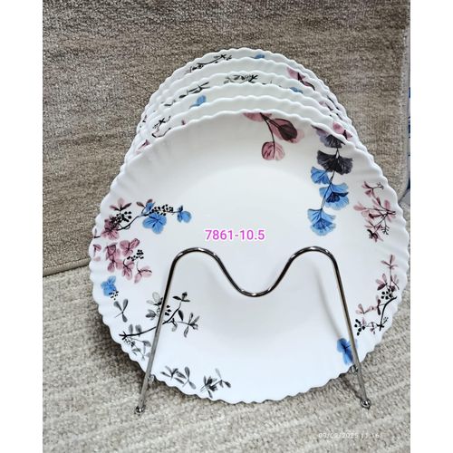 6pcs plates