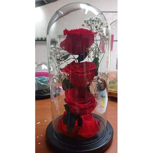 3 rose stem in a Dome