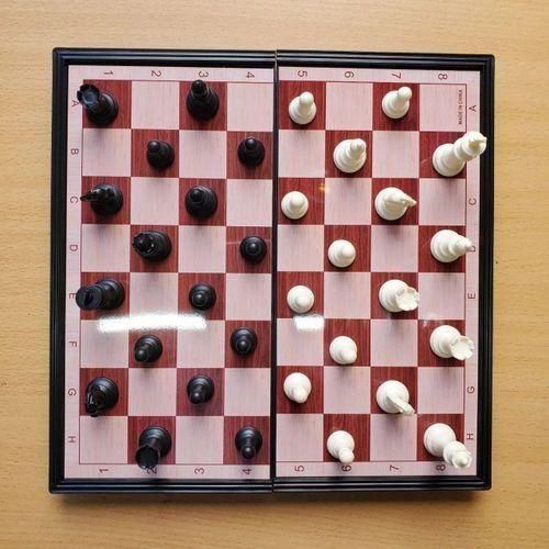 Brain Magnetic Chess Board