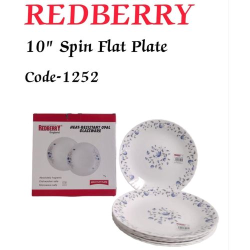6 PCS Beautiful 10 Dinner Plate