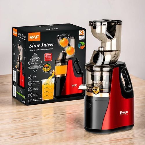 R.2831 Kitchen Essential Juice Extractor 400ml Slow Juicer Juice Extractor