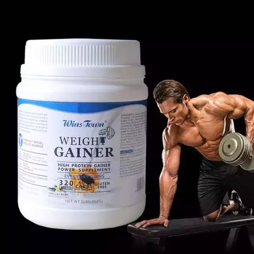 WinsTown Weight Gainer Powder 450g High Protein Muscle Mass Weight Gain Supplement