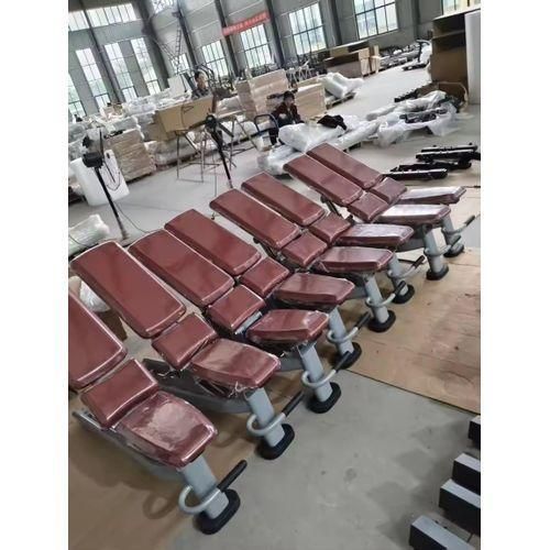 Heavy duty commercial adjustable dumbbell Bench