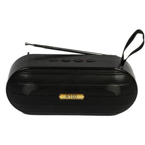 R100 High Sound Quality Wireless Bluetooth Speaker