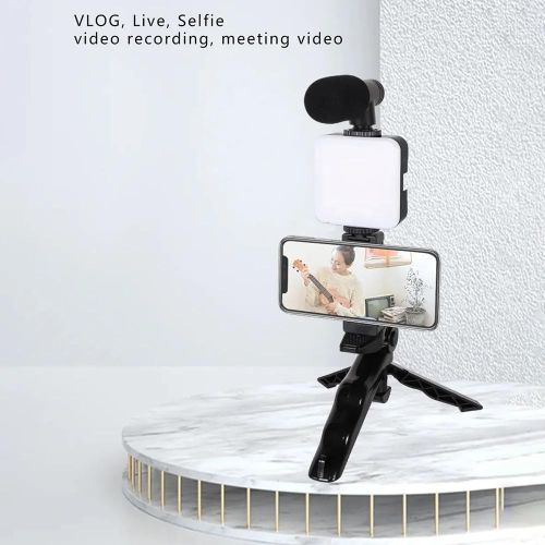 ZP AY-49 LED kit with Light, Microphone, Tripod Handheld Gimbal Tripod for YouTube Vlogging
