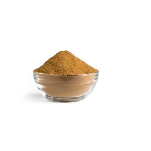Reishi Mushroom Powder 100g