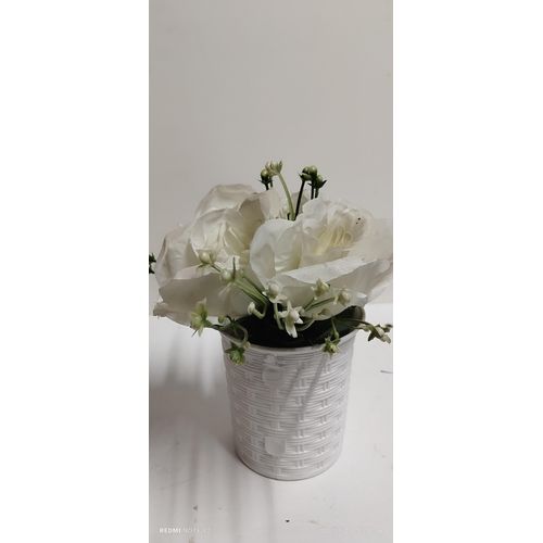 Table Top Lily Flower