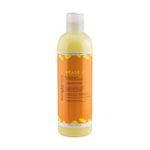 Aunt Jackie'S  Heads Up Moisturizing & Softening Shampoo