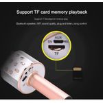 product_image_name-Generic-Wireless Karaoke Microphone with Built-In Speaker & TF Slot-2