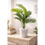 product_image_name-Generic-Artificial Palm Flower , Decor Stones Plus A Vase-1