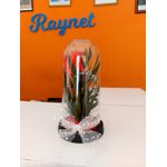 Dome preserved Flowers 