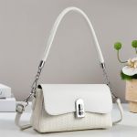 Fashion Clasic Woven shoulder bag