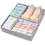 product_image_name-Generic-Inner wear organizer -1